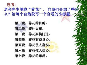 六級(jí)下冊(cè)語(yǔ)文養(yǎng)花的資料