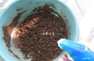 土姜結石可以養(yǎng)花嗎