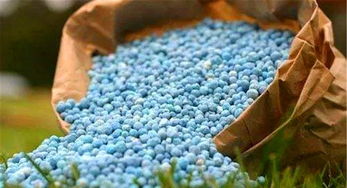 養(yǎng)花的酸性肥料有哪些