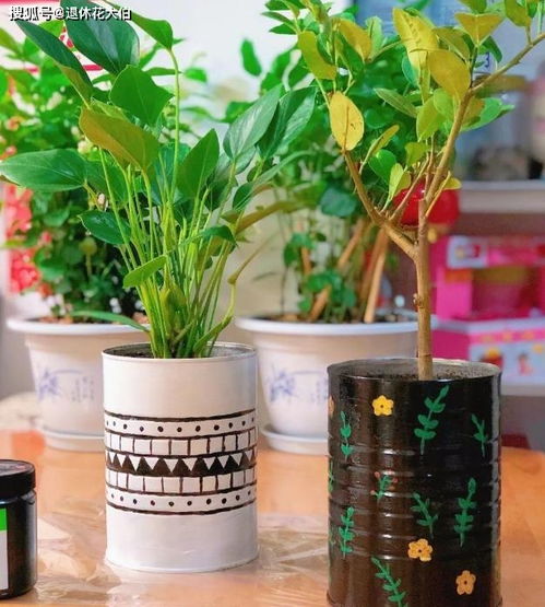 陽臺養(yǎng)花用什么花盆好