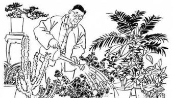 養(yǎng)花老舍的樂趣在于啥