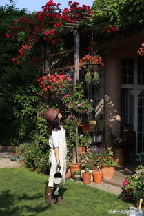 學(xué)養(yǎng)花去那里