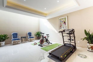 沒窗戶的地下室能養(yǎng)花嗎