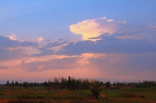 八字五行缺水喜歡養(yǎng)花