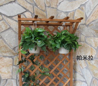 養(yǎng)花的攀爬架