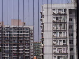 隱形防護(hù)欄怎么養(yǎng)花