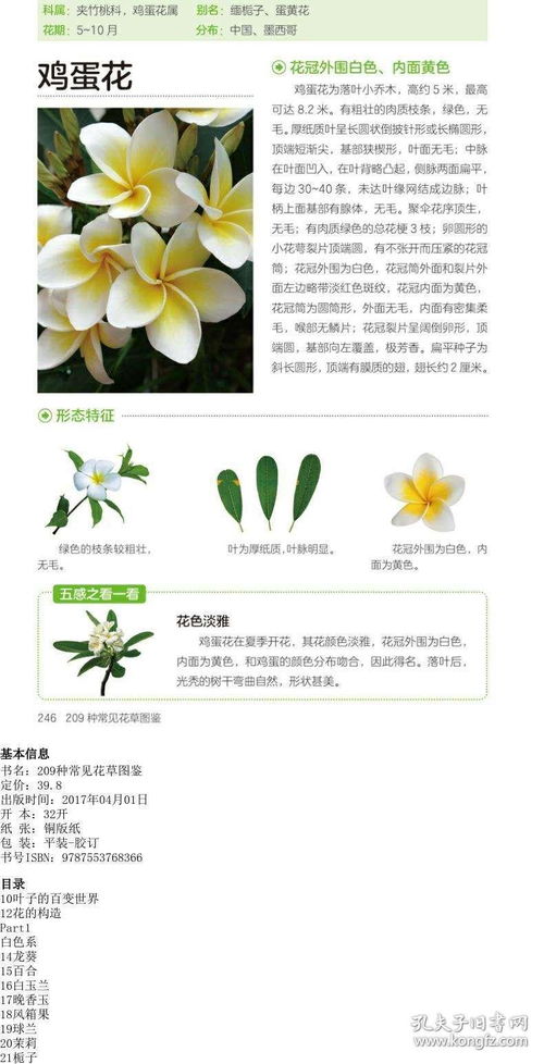 養(yǎng)花參考書籍