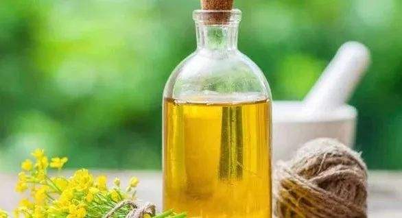 廢食用油養(yǎng)花