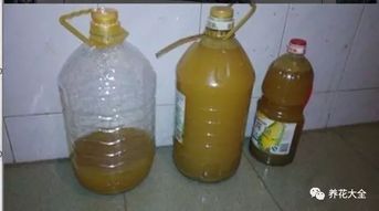 磨豆?jié){豆渣可以養(yǎng)花嗎