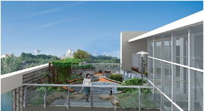 城市養(yǎng)花到哪里取土