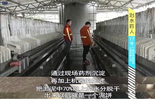 河底淤泥養(yǎng)花