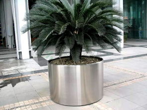 不銹鋼桶可以養(yǎng)花嗎