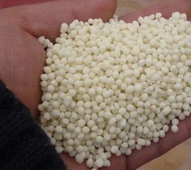 復(fù)合肥養(yǎng)花怎么放