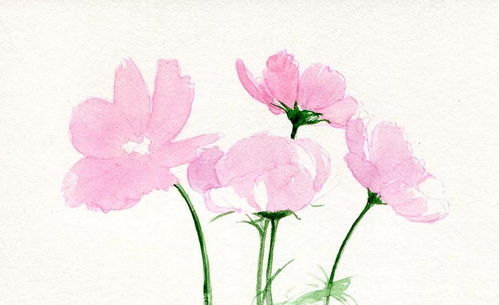 培養(yǎng)花卉的方法pdf