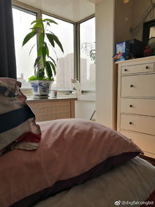 在北京租個(gè)大棚養(yǎng)花