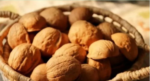 用核桃殼養(yǎng)花