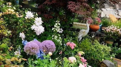 種花養(yǎng)花小說