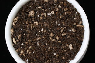 養(yǎng)花用火山石的作用