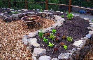 養(yǎng)魚(yú)養(yǎng)花會(huì)消磨意志嗎