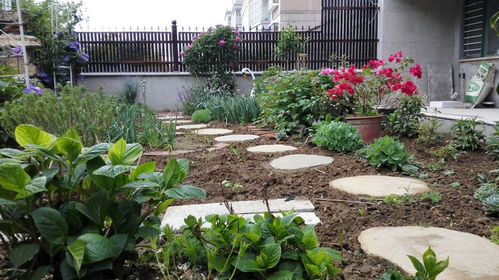 30平米小院一半種菜一半養(yǎng)花