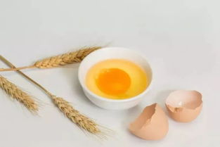 營養(yǎng)花土有市場價值嗎