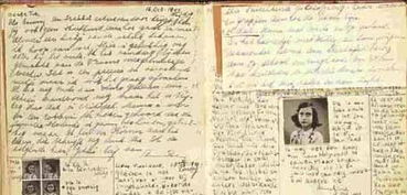 養(yǎng)花讀書心得300字