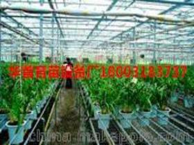 熱鍍鋅養(yǎng)花網(wǎng)