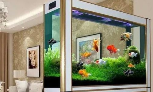 魚缸放在家中養(yǎng)花好嗎