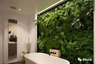 衛(wèi)生間可以開辟養(yǎng)花區(qū)嗎