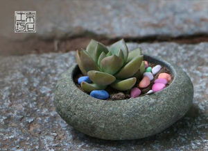 養(yǎng)花適合多大的盆