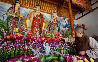 大理尼姑庵養(yǎng)花