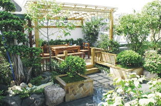 樓頂養(yǎng)花想弄棚