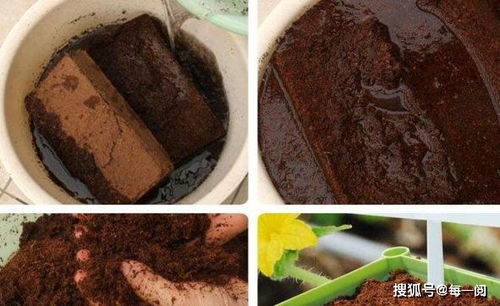 椰磚養(yǎng)花可以反復(fù)使用嗎