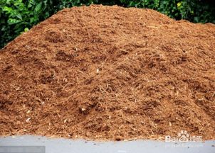 用什么土壤養(yǎng)花