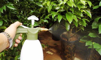 養(yǎng)花防止土壤板結(jié)用哪幾種藥