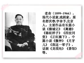 養(yǎng)花老舍六級基礎(chǔ)訓練第四題