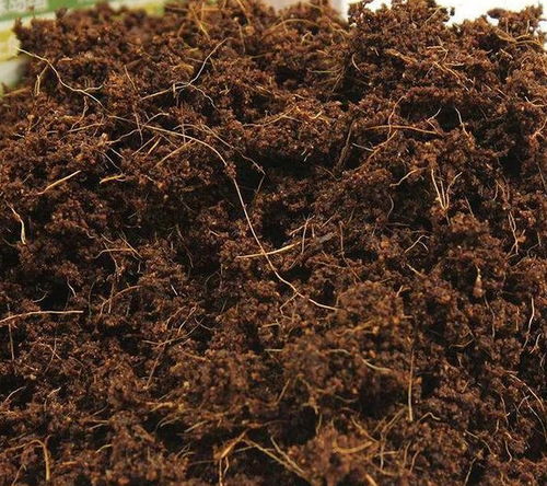 營養(yǎng)土買回來配什么土一起養(yǎng)花