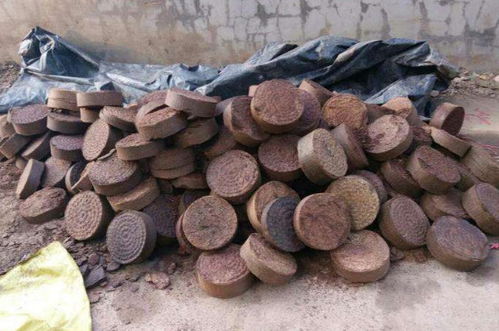 花生餅怎么養(yǎng)花