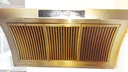 養(yǎng)花大全抽油煙機廢油