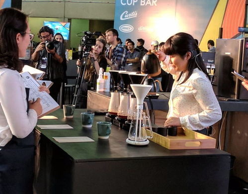 煮完的咖啡粉養(yǎng)花