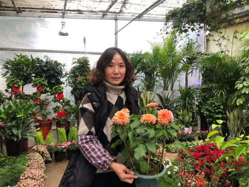 養(yǎng)魚養(yǎng)花養(yǎng)鳥一體圖