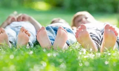 小朋友養(yǎng)花有什么好處