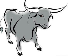 屬牛五行養(yǎng)花