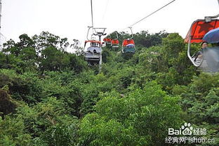 怎么寫作文養(yǎng)花趣