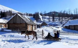 房子太干燥怎么養(yǎng)花