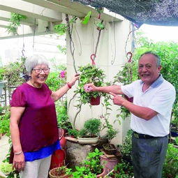 公共天臺(tái)養(yǎng)花犯法