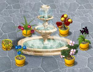 養(yǎng)花大亨的花的對照圖