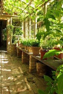 院子里養(yǎng)花怎么搭配