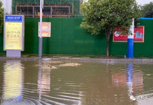 占用小區(qū)公共地方養(yǎng)花