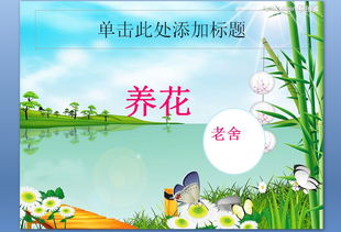 養(yǎng)花老舍ppt免費